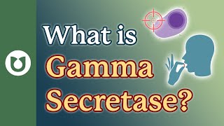 What is gamma secretase myeloma [upl. by Donna]