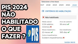 Abono salarial 2024 não habilitado o que fazer [upl. by Morie]