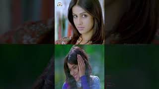 Genelia DSouza Hit Songs  Genelia Telugu Songs  Katha Movie  HBDGenelia  YoutubeShorts [upl. by Arnaud760]