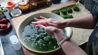 Busy Food Prep Day Preserving New Zealand Spinach Venison Sausage meat and Lemon Verbena [upl. by Nylegna]