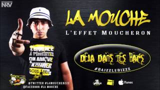 La Mouche  Au dernières News  LeffetMoucheron dispo FnacItunes [upl. by Valer]