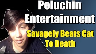 YouTuber Peluchin Kills His Cat [upl. by Airotciv]