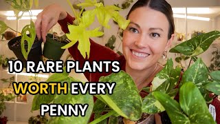 10 Rare Plants WORTH Every Penny  Uncommon Houseplants That You Will Love [upl. by Nyllaf]