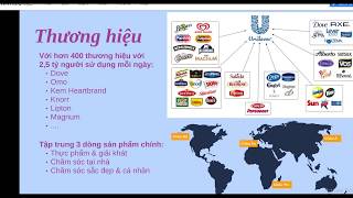 Cơ cấu tổ chức và chiến lược của tập đoàn Unilever [upl. by Niledam]