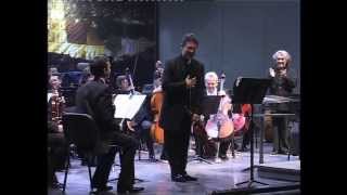 Hoffmeister Concerto in D Major for Viola amp Orchestra [upl. by Kreis156]