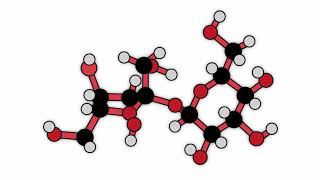 LABC des glucides [upl. by Enigroeg]