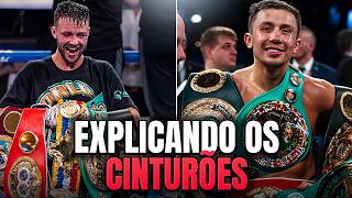 Motivo de Ter Tantos Cinturões de Boxe E Porque Estraga o Esporte [upl. by Georgeta]