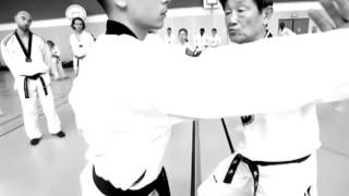 Stage de Taekwondo avec le Grand Maitre Lee Kwan Young [upl. by Jilli]