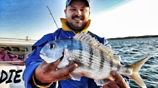 EP 8  Langebaan Lagoon Fishing  Stumpnose  Kraalbaai [upl. by Notirb212]