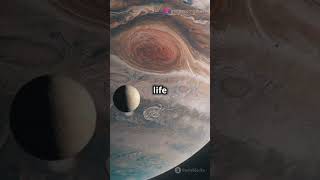 Jupiter The King of Planets spacefacts shorts [upl. by Eislehc]