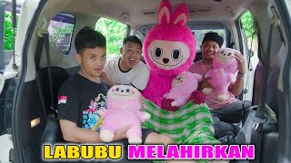 LABUBU RAKSASA MELAHIRKAN BAYI KEMBAR TIGA DI MOBIL [upl. by Alyosha36]