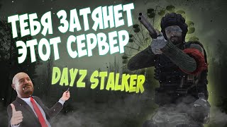 ОБЗОР НА ЛУЧШИЙ СЕРВЕР DAYZ STALKER PVE  THE WHISPER New AoD [upl. by Allisan]