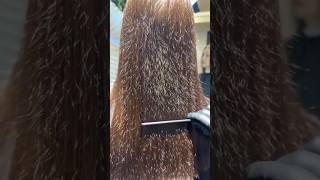 Get Rid Of Split EndsRemove Split Ends Naturally At HomeHome Remedy for Split ends ytshortsviral [upl. by Gayler]