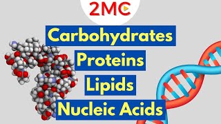 Macromolecules Explained  2MC GIGAVID [upl. by Durnan862]