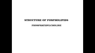 structure of phosphatidylcholine  phospholipids [upl. by Uzzial797]