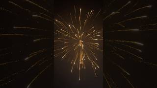 Sony Vinayaga  SPIDER WEB  Diwali Fireworks 🧨 Sony Big Skyshot 💥🎇 [upl. by Sundstrom]