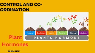 Phytohormonescontrol and coordination cbseclass10 [upl. by Attela]