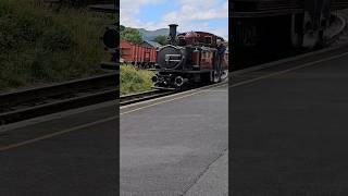 Merddin Emrys at Beddgelert shortsvideo [upl. by Pesek275]