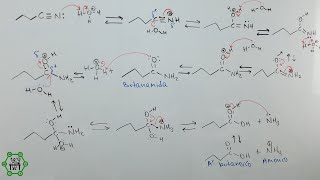 Hidrólisis de Nitrilos Catalizada por Ácido  Hidrólisis Ácida de Amidas  Mecanismo de Reacción [upl. by Rosdniw]