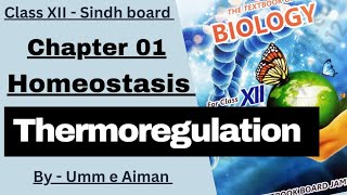 Thermoregulation  Hypothermia and Hyperthermia  Homeostasis Class XII  Sindh board  Umm e Aiman [upl. by Eimmis]