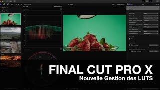 FCPX 104  Nouvelle gestion des LUTs [upl. by Stillmann600]