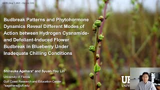 Blueberry Budbreak Induction Using Hydrogen Cyanamide and Defoliants  2021 ASHS Presentation [upl. by Ginnie708]