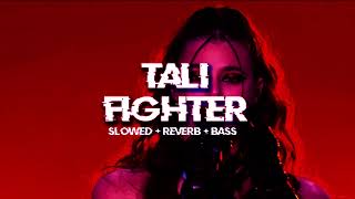 tali  fighter old ver  slowed  reverb [upl. by Perkoff301]