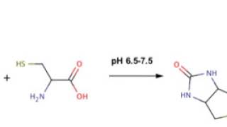 Biotinylation  Wikipedia audio article [upl. by Ninel]