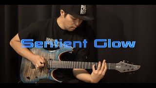 Periphery  Sentient Glow Collaboration l 최기타 [upl. by Haldane986]