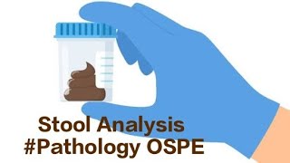 Stool sample Examination pathology ospe observed station [upl. by Arivle]