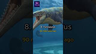 Top 10 ancient sea monsters  Top Tens [upl. by Nnylirret56]