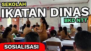 Sosialisasi Sekolah Ikatan Dinas dari BKD NTT [upl. by Gauthier]