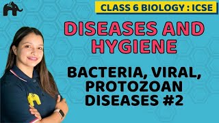 Diseases and Hygiene Class 6 ICSE Biology  Selina Chapter 7 Bacteria Viral Protozoan Diseases 2 [upl. by Ariaj]