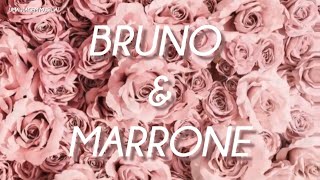 Bruno amp Marrone  Choram As Rosas Letra ᵃᑭ [upl. by Chinua]