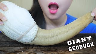 ASMR BOILED GIANT GEODUCK EXOTIC FOOD EXTREME EATING SOUNDS  LINHASMR [upl. by Nnel]