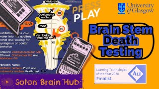 Brain Stem Death Testing [upl. by Cindra588]