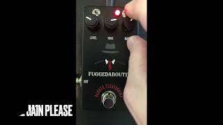 Barber Electronics Fuggedaboutit pedal Demo [upl. by Fachanan]