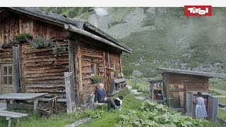 Leben auf der Alm  Almhütten in Tirol Österreich 🐮 [upl. by Eecram]