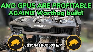 AMD GPUS ARE PROFITABLE AGAIN just not BC250s WARTHOG RIG BUILD AND PROFITABILITY NUMBERS [upl. by Leibman]