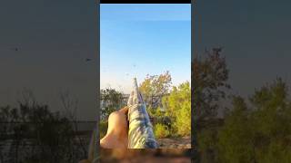 bestduckhuntbirdhuntinggeesehuntingwaterfullhuntingyoutubeshorts [upl. by Mont]