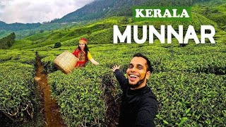 Munnar Tourist Places  Munnar Travel  Kerala tourist places travel nature mountains waterfall [upl. by Ritchie]