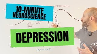 10Minute Neuroscience Depression [upl. by Eanar718]