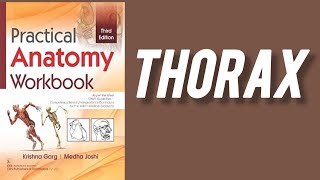 Anatomy practical workbook with answer  thorax [upl. by Suiratnod]