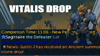 Runescape 3 Vitalis Drop Reaction  Vorago with Viewers [upl. by Anaujnas]