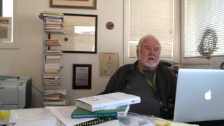 Csikszentmihalyi about Flow in Business [upl. by Emilee]