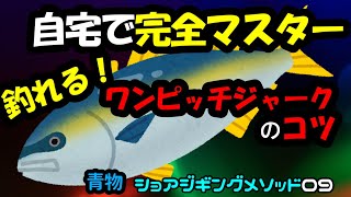 【青物】自宅で完全マスター！釣れるワンピッチジャークのコツ（ショアジギング） [upl. by Leigh]