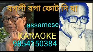 BOGOLI BOGA PHUT DI JA KARAOKE Birendra nath Dutta assamese song track [upl. by Daffy623]