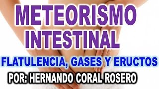 METEORISMO INTESTINAL  FLATULENCIA GASES Y ERUCTOS [upl. by Aruon]