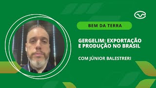 Gergelim exportação e produção no Brasil [upl. by Ciro]