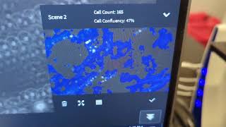 Zeiss Labscope tutorial using AI Cell Counting and AI Cell Confluency [upl. by Okier]